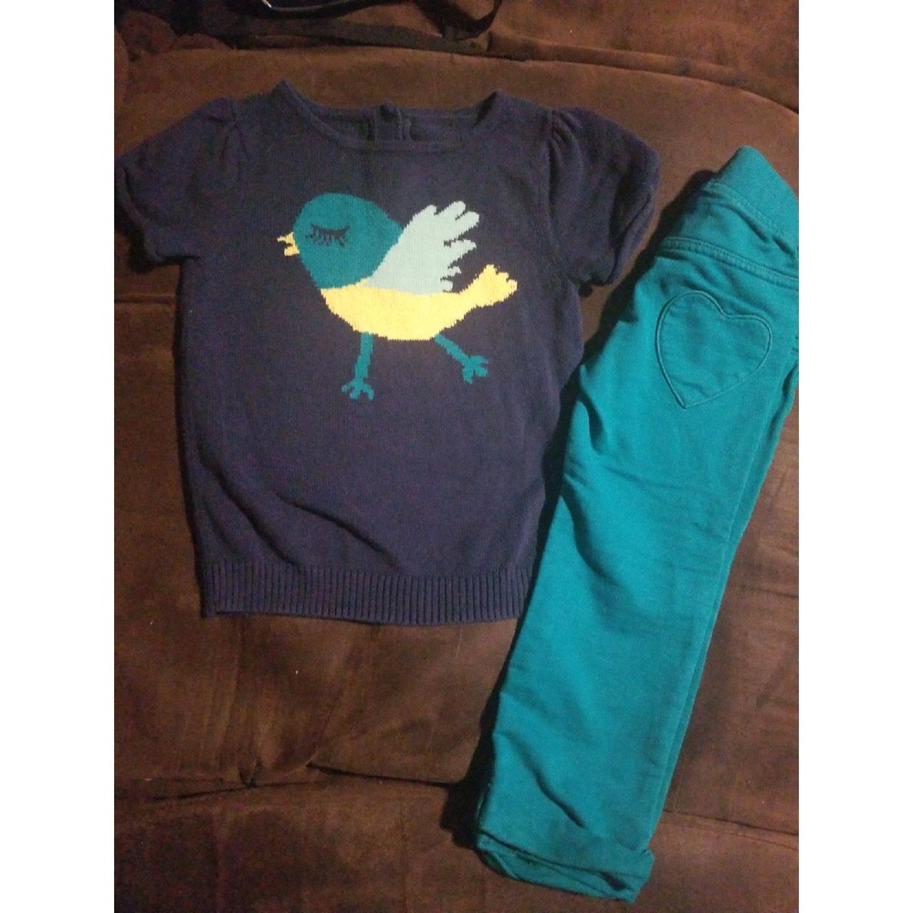 Crazy 8 bird sweater pants‎ fall 2t